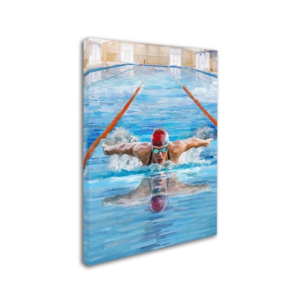The Macneil Studio 'Swimming' Canvas Art,35x47